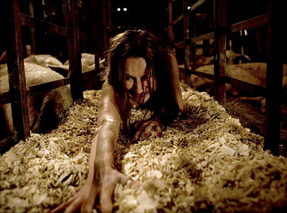 slaughter_1